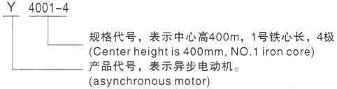 西安泰富西玛Y系列(H355-1000)高压YJTG-280S-4A/75KW三相异步电机型号说明